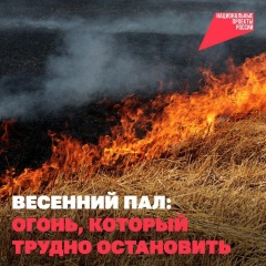 🔥 ��-�� �������� ����� ����� ���� �������.